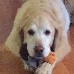 Meet your Posher, Renee